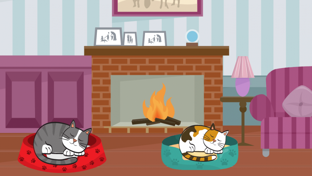 Yaramaz Kedi Tekir’in Masalı