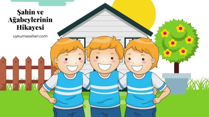 Şahin ve Ağabeylerinin Hikayesi