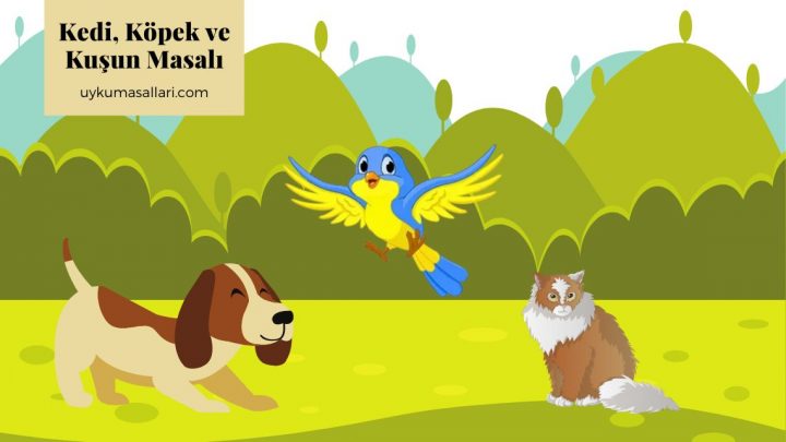 Kedi, Köpek ve Kuşun Masalı