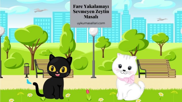 Fare Yakalamayı Sevmeyen Zeytin Masalı