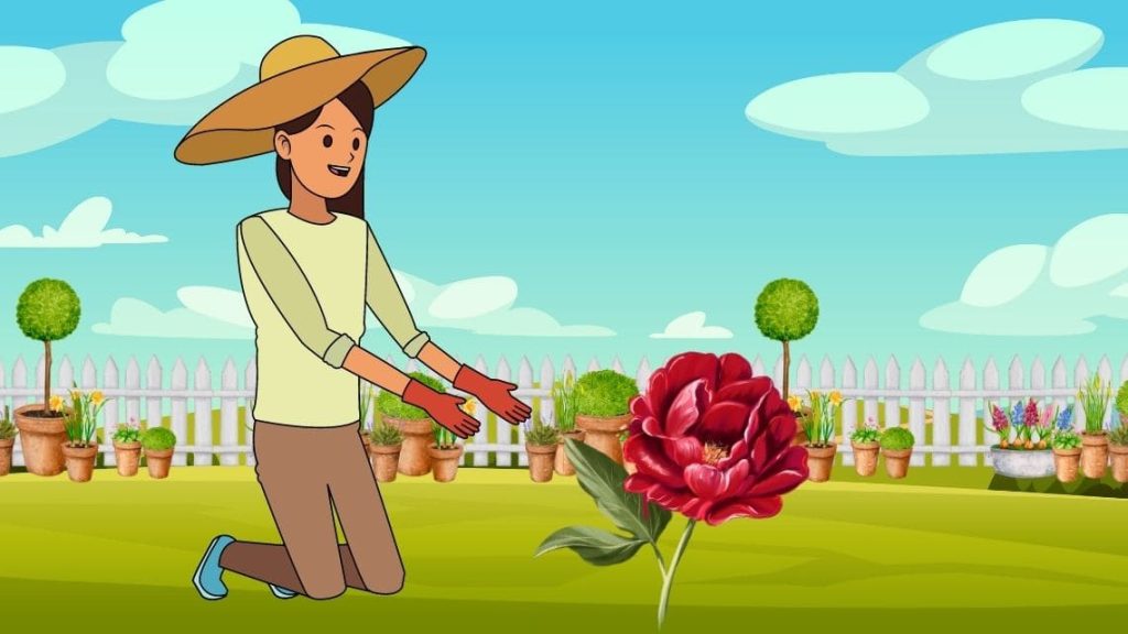 Hızla Büyümek İsteyen Çiçek Masalı Hızla Büyümek İsteyen Çiçek Masalı