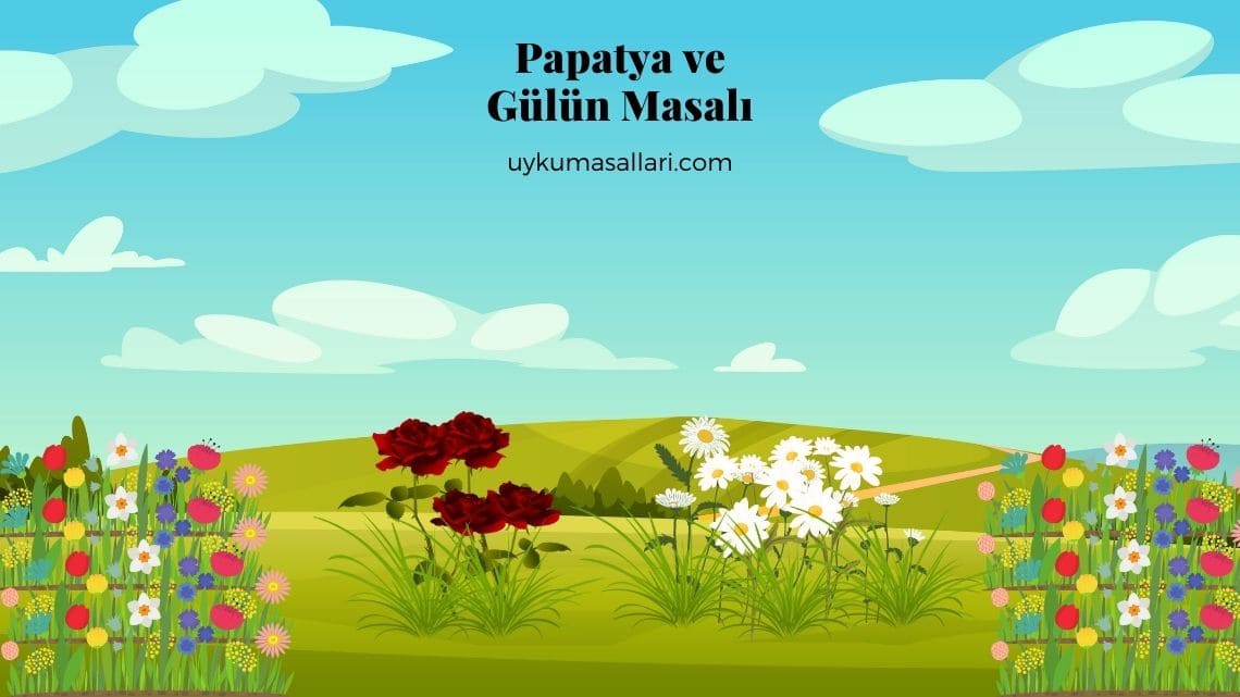 Papatya ve Gülün Masalı Papatya ve Gülün Masalı