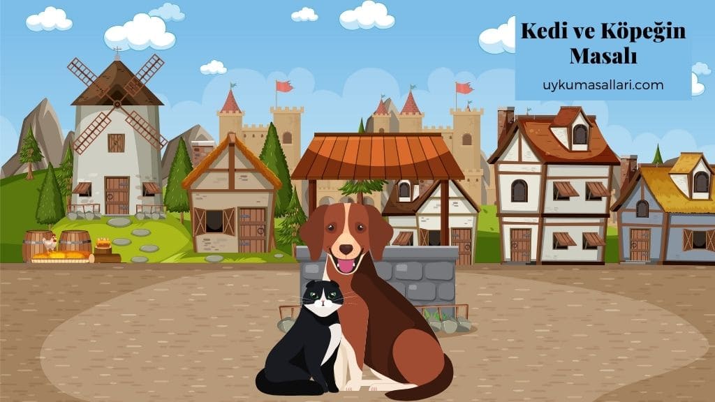 Kedi ve Köpeğin Masalı Kedi ve Köpeğin Masalı