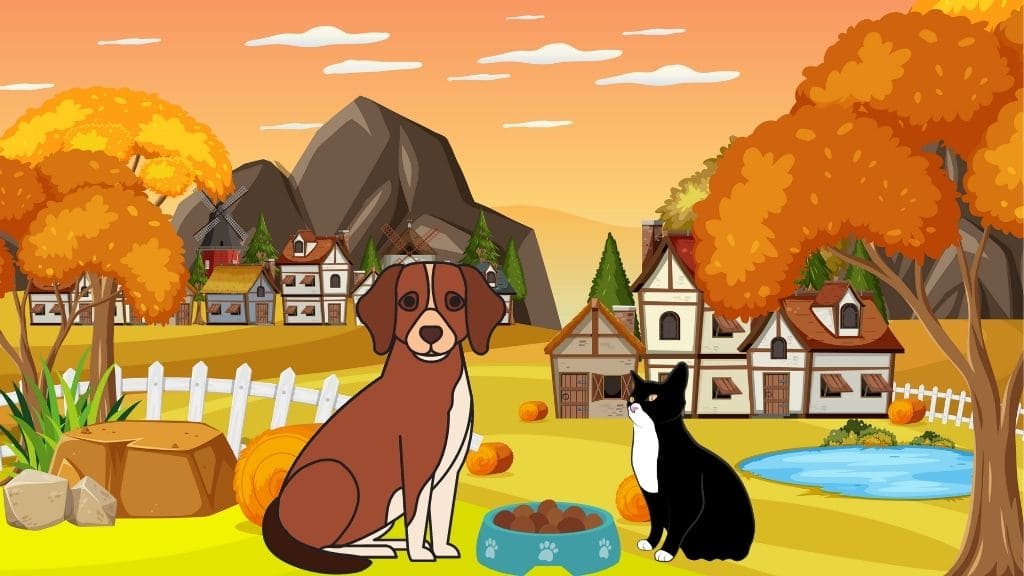 Kedi ve Köpeğin Masalı Kedi ve Köpeğin Masalı